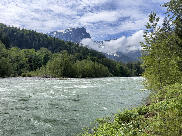 Skykomish river with cascade mountains in background of Washingt Picture Board by Thomas Baker