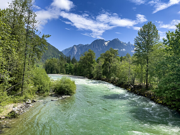 Gem green color Skykomish river with snowcapped cascade mountain Picture Board by Thomas Baker