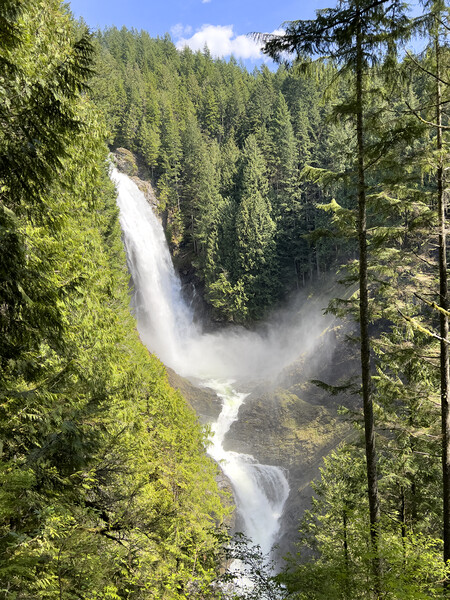 Upper Wallace water falls in Washington state Picture Board by Thomas Baker