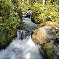 Buy canvas prints of Small brook with little water falls in Washington state by Thomas Baker