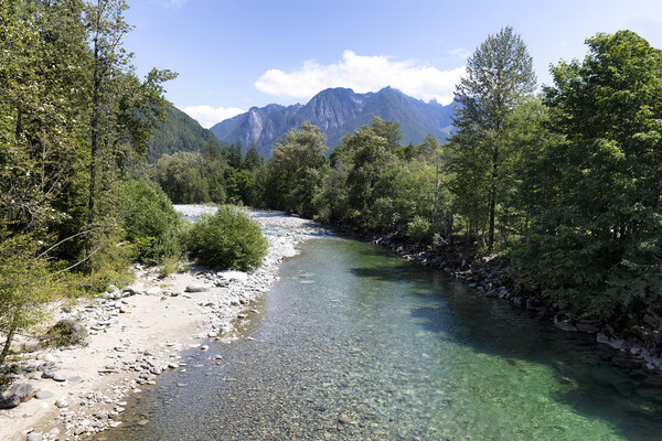 Flowing Skykomish river with cascade mountains  Picture Board by Thomas Baker