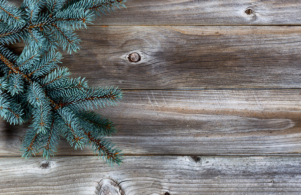 Christmas Tree on rustic wood  Picture Board by Thomas Baker