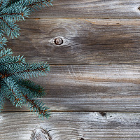 Buy canvas prints of Christmas Tree on rustic wood  by Thomas Baker