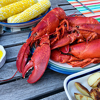 Buy canvas prints of Steamed whole lobsters ready to server for dinner  by Thomas Baker