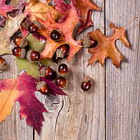 Buy canvas prints of Autumn leaf and acorn decorations on rustic wooden by Thomas Baker