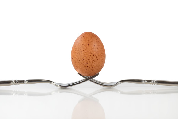 Isolated whole brown egg balanced on two forks Picture Board by Thomas Baker