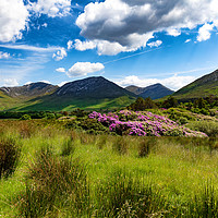 Buy canvas prints of Ireland countryside with green grass and hills  by Thomas Baker