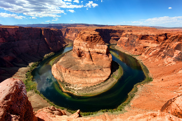 Horseshoe Bend on the Colorado River during summer Picture Board by Thomas Baker