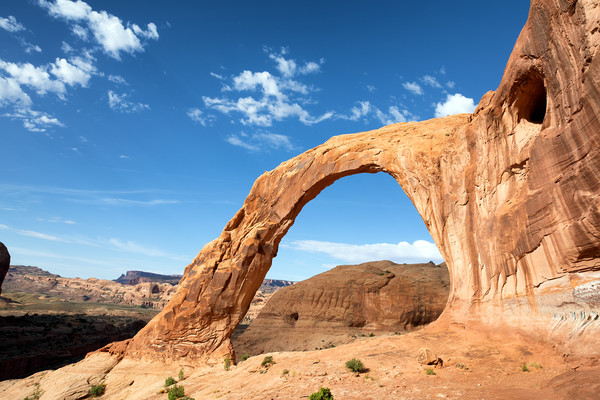 Corona arch in Utah state park Picture Board by Thomas Baker