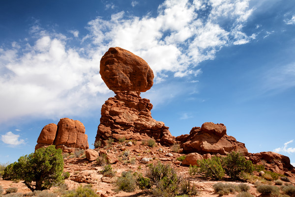 Balanced rock in Arches National Park Picture Board by Thomas Baker