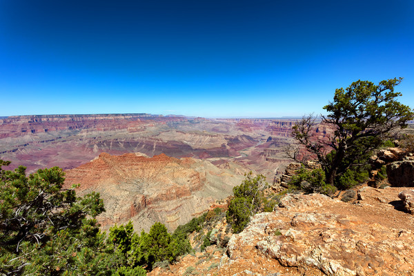 Wide view of the Grand Canyon South Rim in Arizona Picture Board by Thomas Baker
