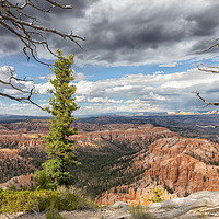 Buy canvas prints of Textured trees and dark skies with view of Grand C by Thomas Baker