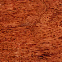 Buy canvas prints of Solid Brazilian cherry wood texture  by Thomas Baker