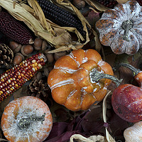 Buy canvas prints of Seasonal fall decorations consisting of pumpkins,  by Thomas Baker