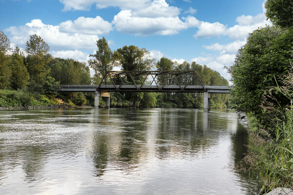 Railroad bridge over large flooded river  Picture Board by Thomas Baker