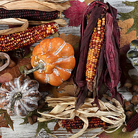 Buy canvas prints of Filled frame format of seasonal decorations for the happy thanksgiving holiday  by Thomas Baker