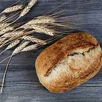 Buy canvas prints of Close up view of homemade sourdough bread with dried wheat stalk by Thomas Baker