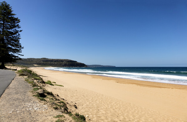 Walkway along empty beach in Sidney Australia coas Picture Board by Thomas Baker