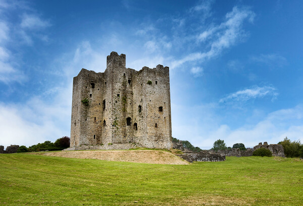 Ancient mediaeval castle in Ireland surrounded by grassy fields  Picture Board by Thomas Baker