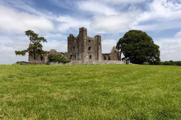 Old tiny castle in Ireland surrounded by grassy fields   Picture Board by Thomas Baker