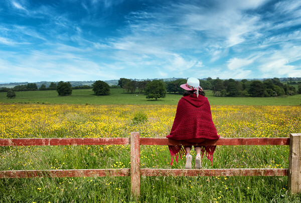 Woman sitting on fence while looking out at the farmland   Picture Board by Thomas Baker
