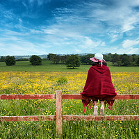 Buy canvas prints of Woman sitting on fence while looking out at the farmland   by Thomas Baker