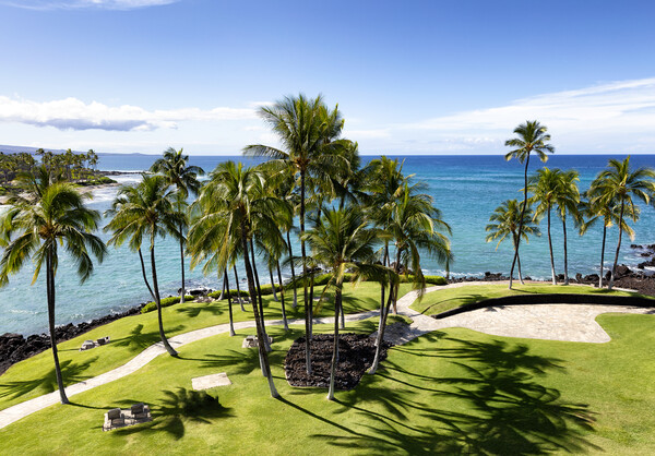 Leisurely pathway along the shoreline of tropical Hawaii Island  Picture Board by Thomas Baker