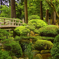 Buy canvas prints of Wooden Foot Bridge at Japanese Garden by sharon hitman