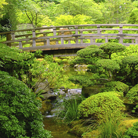 Buy canvas prints of Footbridge over a stream at the Japanese Gardens by sharon hitman