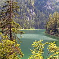 Buy canvas prints of  lake tovel in the dolomites, italy  by sharon hitman