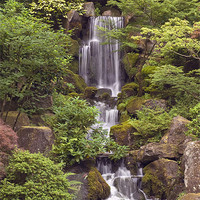 Buy canvas prints of japanese garden waterfall by sharon hitman