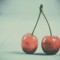 Buy canvas prints of Fresh Red Cherry Fruit by Radu Bercan