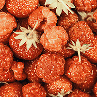 Buy canvas prints of Raspberry And Strawberry Pile In Fruit Market by Radu Bercan