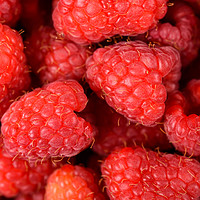Buy canvas prints of Fresh Red Raspberry Fruits Background by Radu Bercan