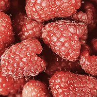 Buy canvas prints of Red Raspberry Fruits by Radu Bercan