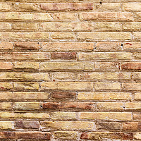 Buy canvas prints of Brick Wall Texture by Radu Bercan