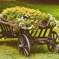 Buy canvas prints of Flower Country Wagon On Green Grass by Radu Bercan