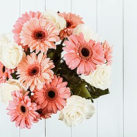Buy canvas prints of Pink Gerbera Daisy Flowers And White Roses Bouquet by Radu Bercan