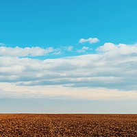 Buy canvas prints of Cloudy Sky Over Harvested Land In Autumn by Radu Bercan