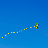 Buy canvas prints of Colorful Kite Flying In Summer Blue Sky by Radu Bercan