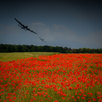 Buy canvas prints of Lest we forget by Rob Lucas
