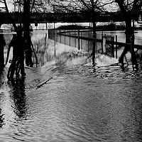 Buy canvas prints of Flooded Tonbridge January 2014 by Rob Lucas