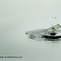 Calm Water Splash Fine Art