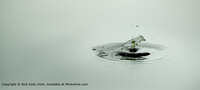Click to show how this picture will look as a piece of wall art