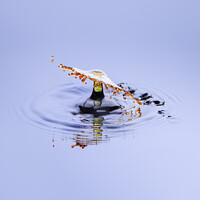 Macro Water Splash Art