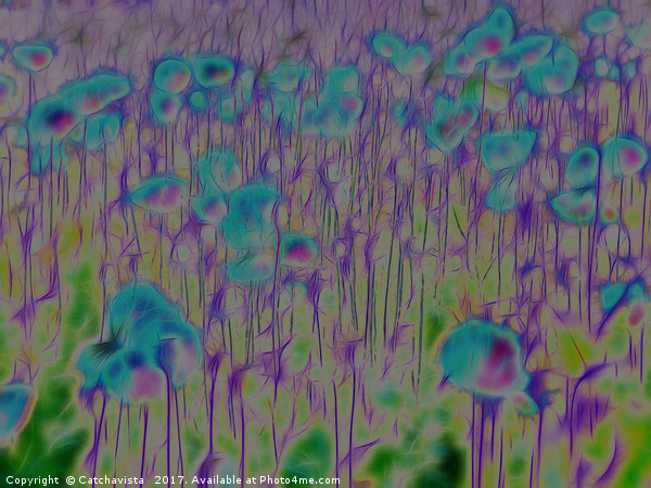 Enchanted Blue Poppy Field Picture Board by Catchavista 