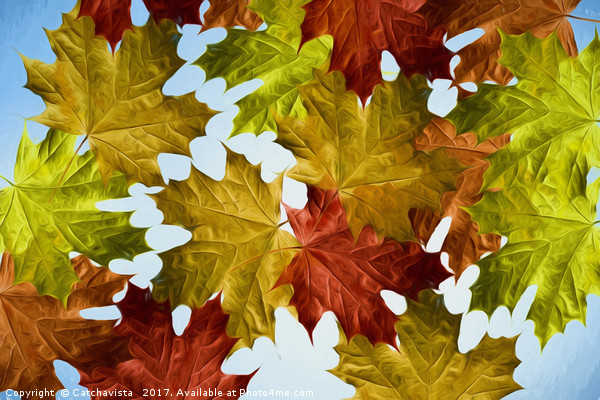 Autumn Leaves Brite Picture Board by Catchavista 