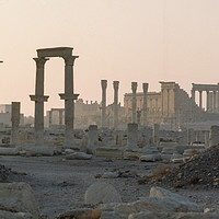 Buy canvas prints of Palmyra, vintage picture by Massimo Lama