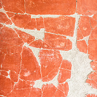 Buy canvas prints of fresco in villa oplontis by Massimo Lama