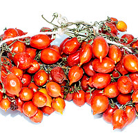 Buy canvas prints of Tomatoes of Vesuvius by Massimo Lama